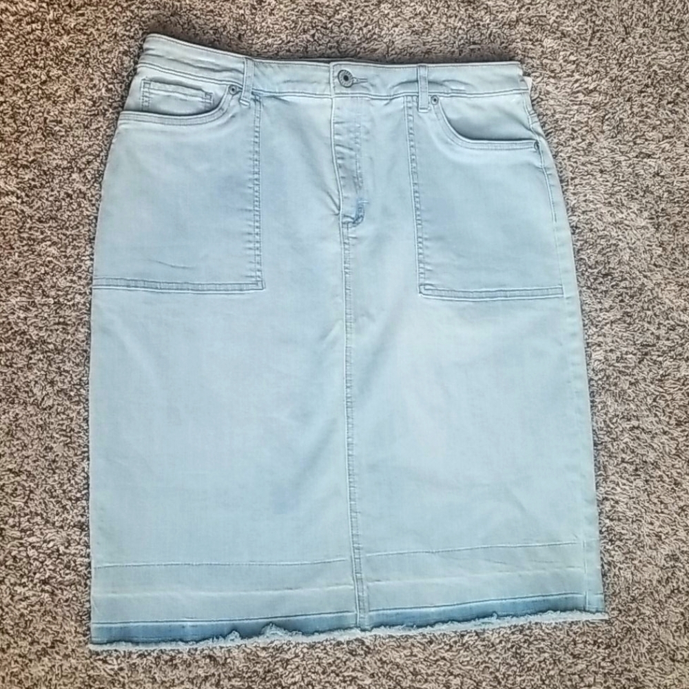 Christopher & Banks skirt.